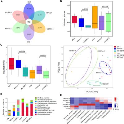 Mycobacterium tuberculosis Rv1987 protein attenuates inflammatory response and consequently alters microbiota in mouse lung